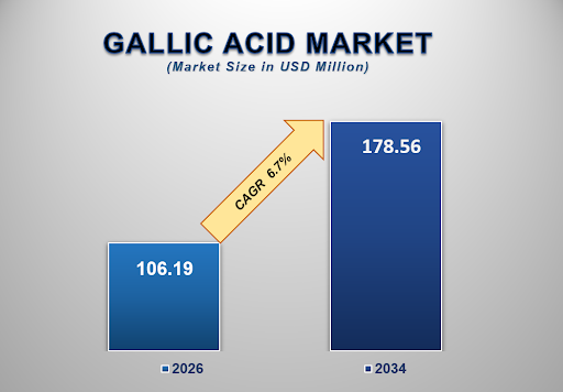 Gallic Acid Market Size