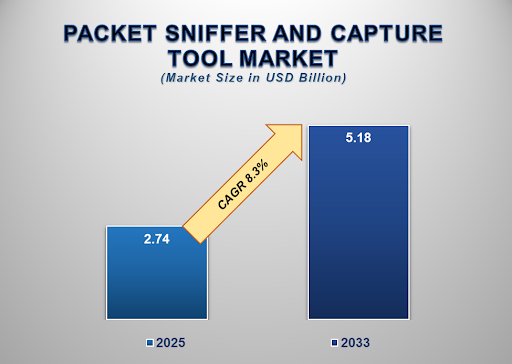 Packet Sniffer and Capture Tool Market 1