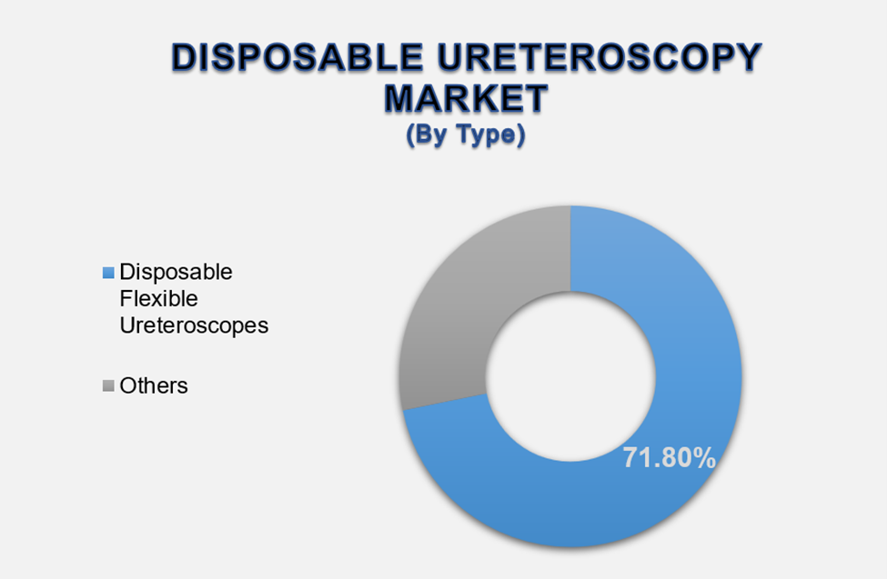 Disposable Ureteroscopy Market 2