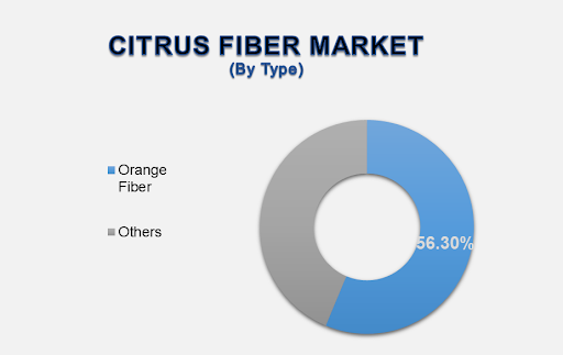 Citrus Fiber Market 2