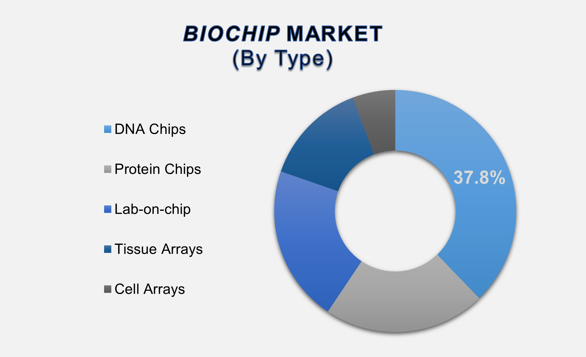 Global Biochip Market