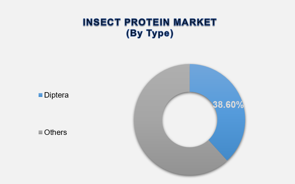 Insect Protein Market Size By Segments