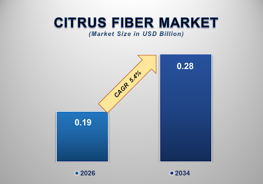 Citrus Fiber Market 1