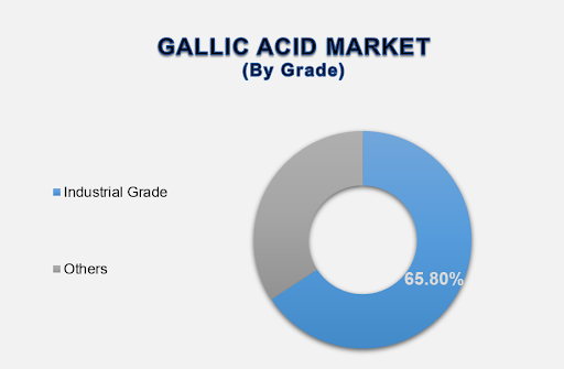 Gallic Acid Market Size By Segments